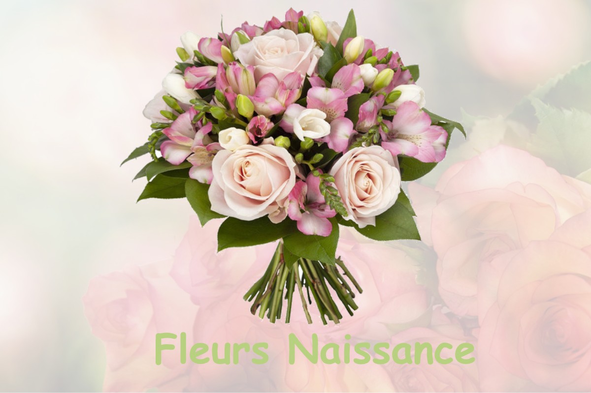 fleurs naissance ARACHES-LA-FRASSE